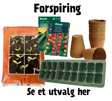 Forspiring produkter