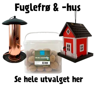 Fuglefrø & fuglehus
